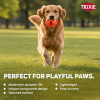 Trixie Honeycomb Ball Dog Toy Tpe  Dia 6cm Orange