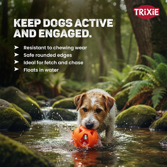 Trixie Honeycomb Ball Dog Toy Tpe  Dia 6cm Orange