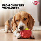 Trixie Tennis Ball In Tyre Dog Toy