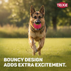 Trixie Tennis Ball In Tyre Dog Toy