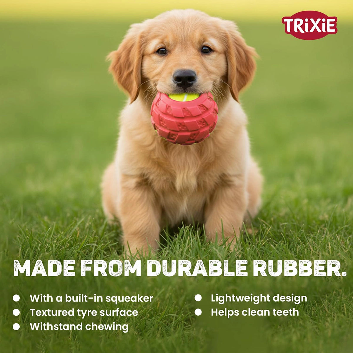 Trixie Tennisball In Tyre Dog Toy