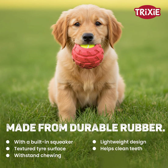 Trixie Tennisball In Tyre Dog Toy