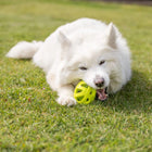 Trixie Honeycomb Rugby Dog Toy Tpe 11cm - Lime