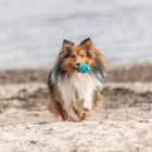 Trixie Honeycomb Ball With Rope TPR/Polyester/Rubber Dog Toy - 6 × 23 cm