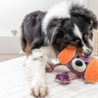 Trixie Dog With Rope Plush/Rope Dog Toy 27cm