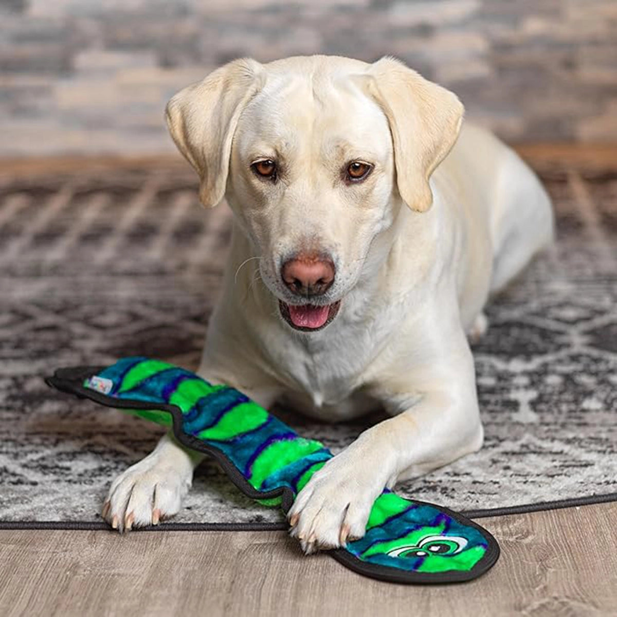 Outward Hound Durablez Snake Orange Dog Toy Large