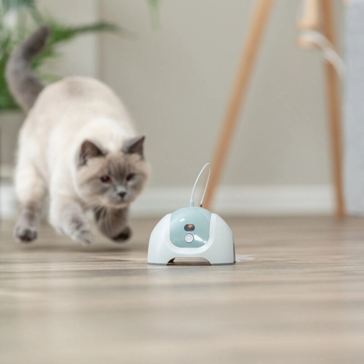 Trixie Catch me with Motor and Remote Control Interactive Cat Toy