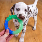 Outward Hound Grow With Me Ring Dog Toy