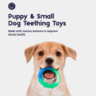 Outward Hound Puppy Orka, Pack Of 3 Dog Toy