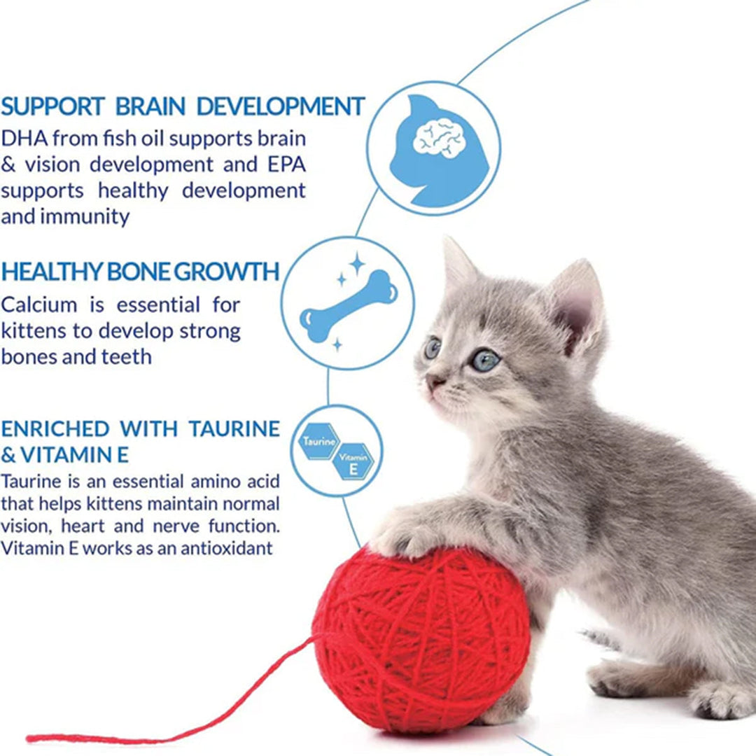 Inaba Churu for Kitten Chicken Recipe 56g (14g x 4)