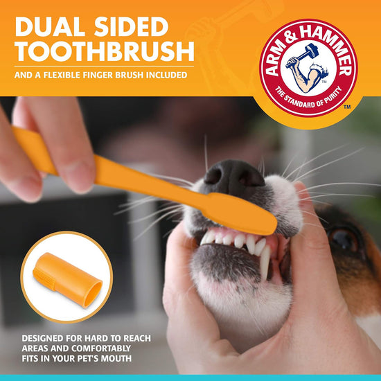 Arm & Hammer Dental Kit For Dogs - Chicken