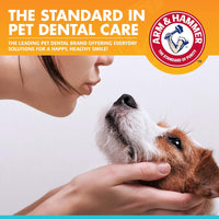 Arm & Hammer Dental Kit For Dogs - Chicken