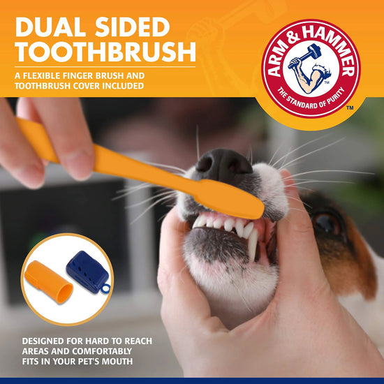 Arm & Hammer Dental Kit-Tartar Control Banana for Dogs