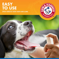 Arm & Hammer Dental Kit-Tartar Control Banana for Dogs