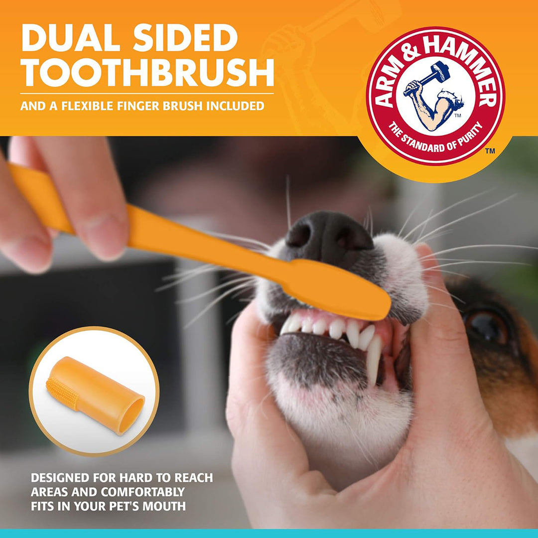 Arm & Hammer Dental Kit for Dogs - Vanilla