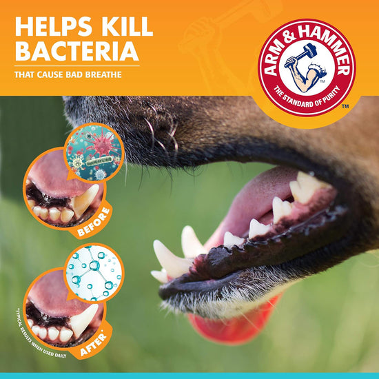Arm & Hammer Dental Kit for Dogs - Vanilla