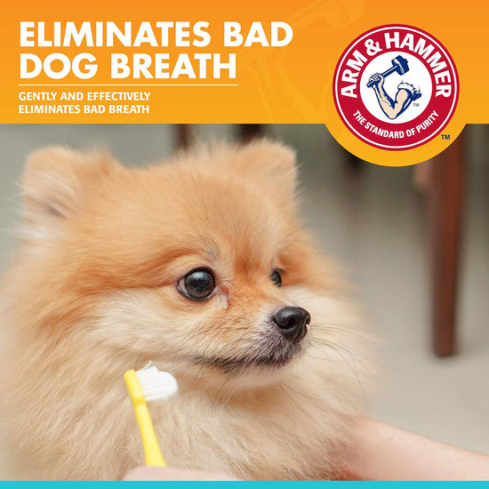 Arm & Hammer Toothpaste For Dogs - Chicken