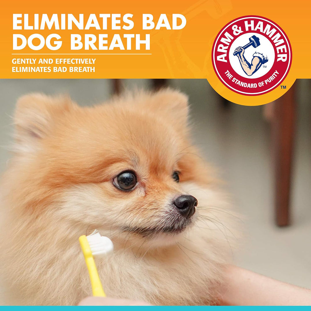 Arm & Hammer Toothpaste For Dogs - Chicken