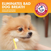 Arm & Hammer Toothpaste For Dogs - Chicken