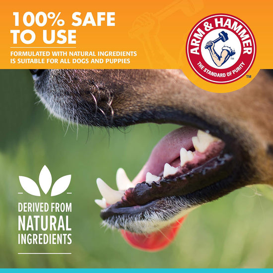 Arm & Hammer Toothpaste For Dogs - Chicken