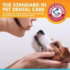Arm & Hammer Toothpaste For Dogs - Chicken