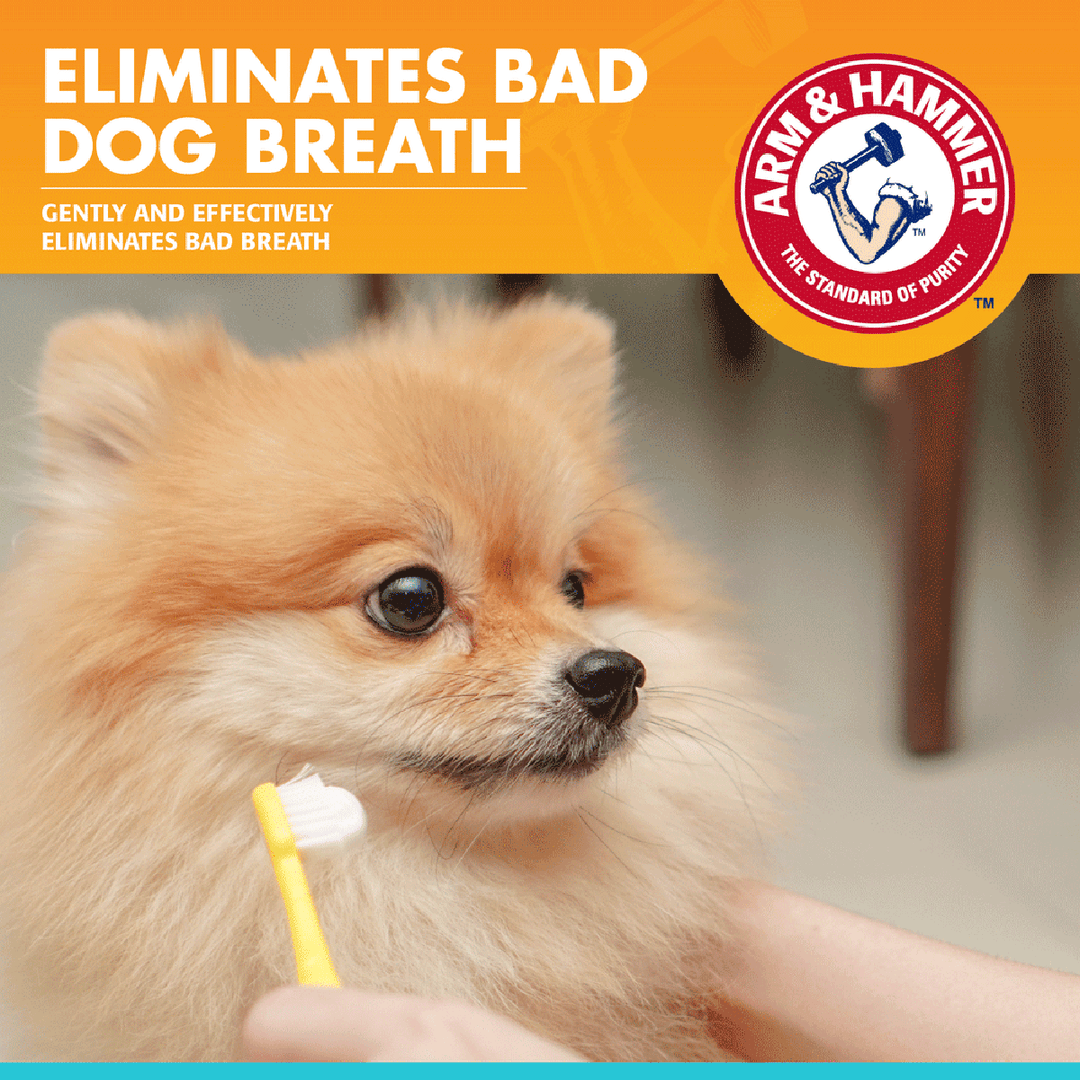 Arm & Hammer Toothpaste for Dogs - Vanilla