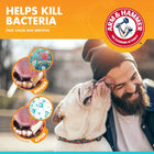 Arm & Hammer Toothpaste for Dogs - Vanilla