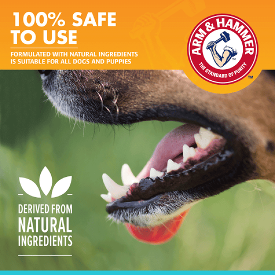 Arm & Hammer Toothpaste for Dogs - Vanilla