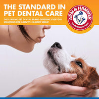 Arm & Hammer Clinical Care Dental Rinse For Dogs