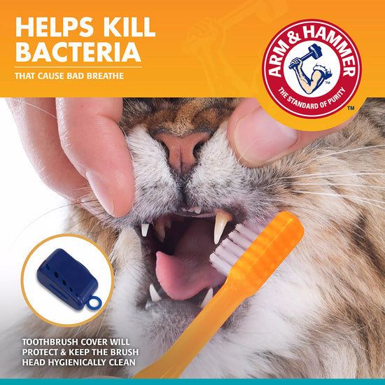 Arm & Hammer Dental Kit for Cats
