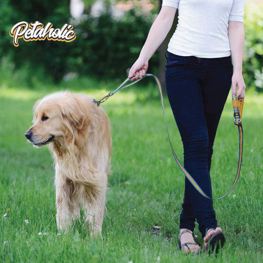 Petaholic  Tracker  Series  Plateau Dog Leash - Mustard