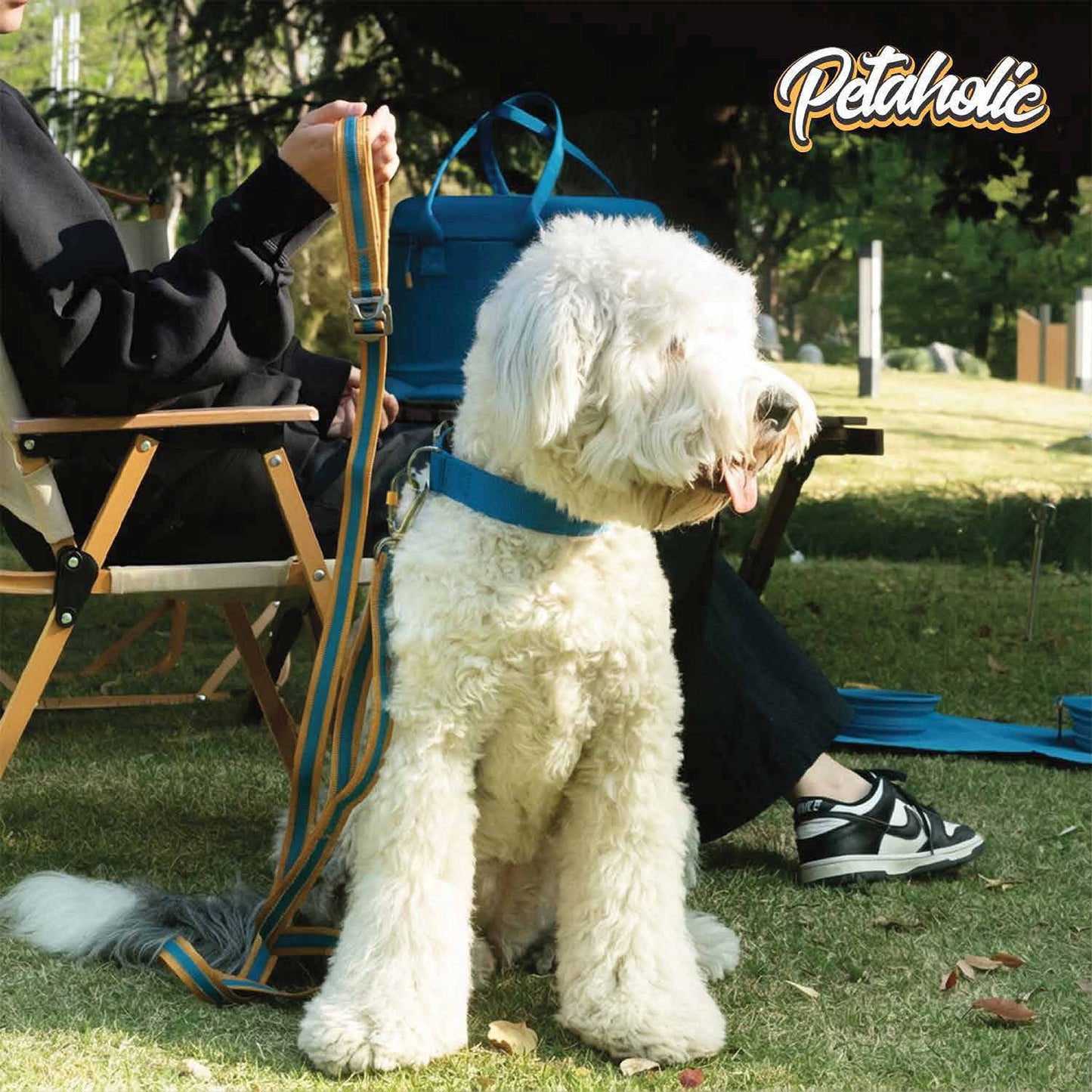 Petaholic Tracker Series Plateau Pet Collar - Mustard
