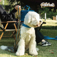 Petaholic Tracker Series Plateau Pet Collar - Mustard