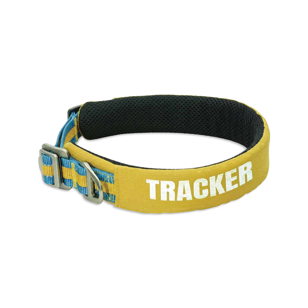 Petaholic Tracker Series Plateau Pet Collar - Mustard