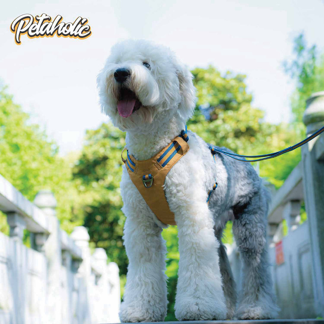 Petaholic  Tracker  Series  Plateau Dog Harness - Mustard