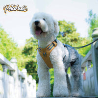 Petaholic  Tracker  Series  Plateau Dog Harness - Mustard