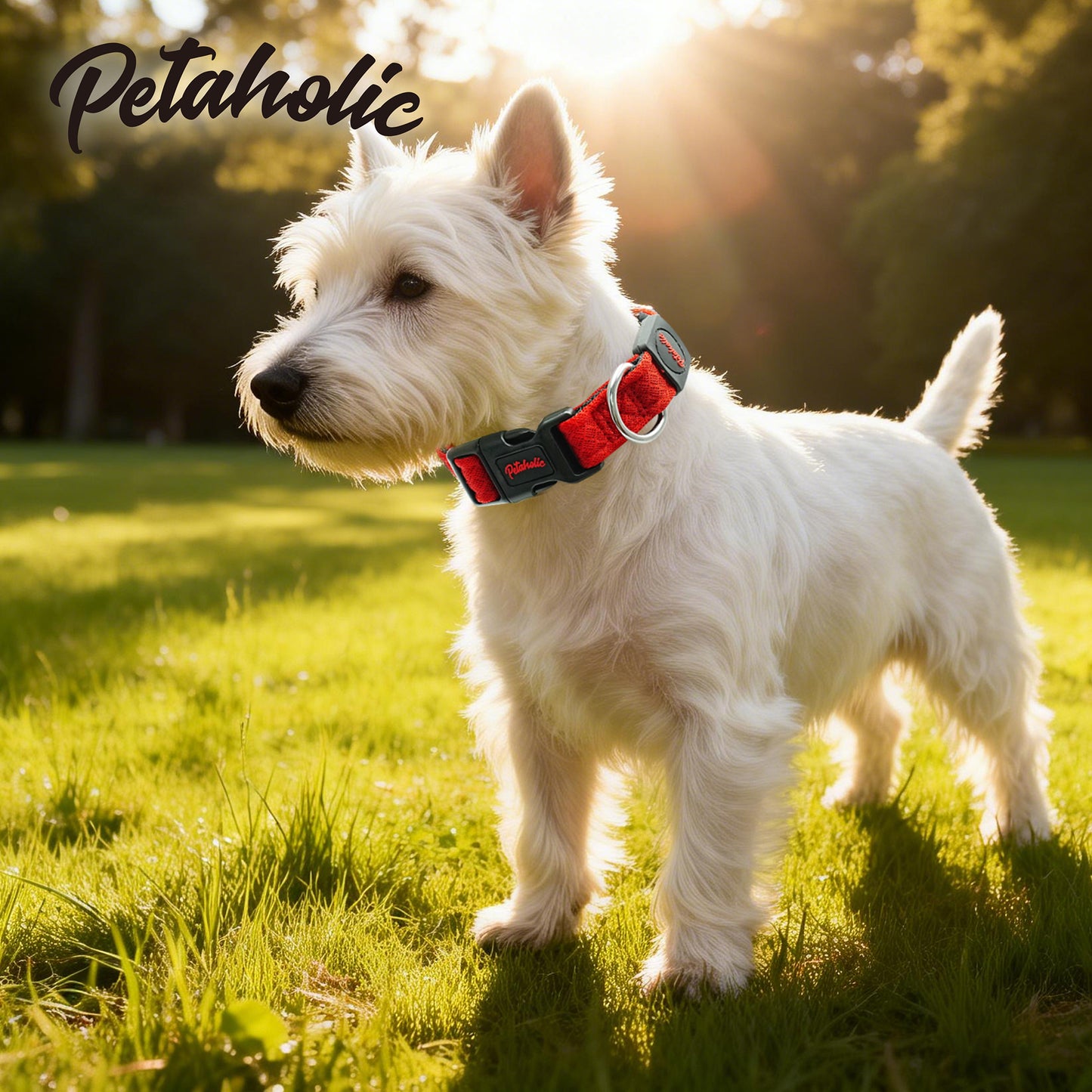 Petaholic Air Mesh Series Pet Collar - Maroon