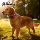 Petaholic Air Mesh Series Pet Collar - Maroon