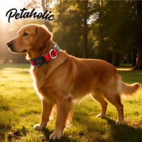 Petaholic Air Mesh Series Pet Collar - Maroon