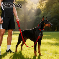 Petaholic  Air Mesh Series  Dog Leash - Maroon