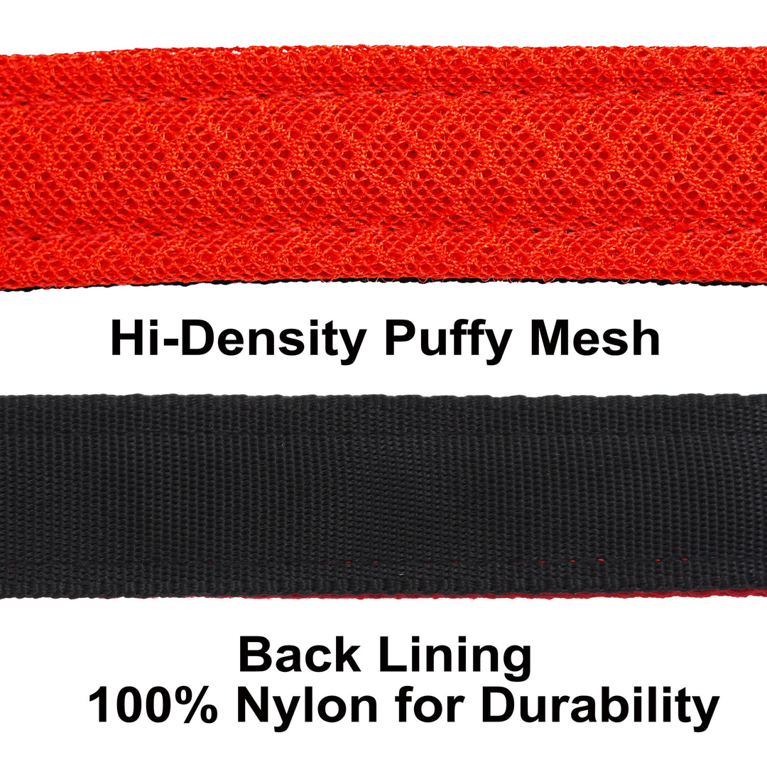 Petaholic  Air Mesh Series  Dog Leash - Maroon