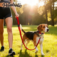 Petaholic  Air Mesh Series  Dog Leash - Maroon