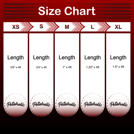 Petaholic  Air Mesh Series  Dog Leash - Maroon