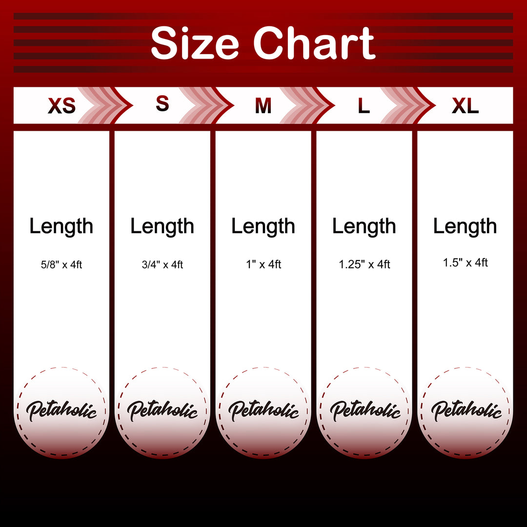 Petaholic  Air Mesh Series  Dog Leash - Maroon