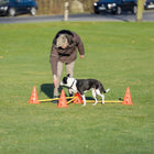 Woman training a black and white dog with agility cones and poles on green grass in a park zigly