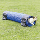 Small dog running out of blue agility tunnel on grass field zigly