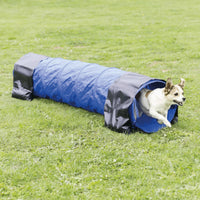Small dog running out of blue agility tunnel on grass field zigly