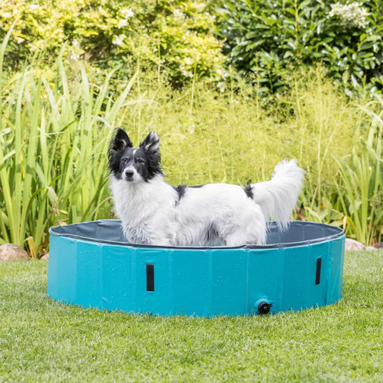 Trixie Dog Pool Light Blue -  4 Feet x 1 Feet