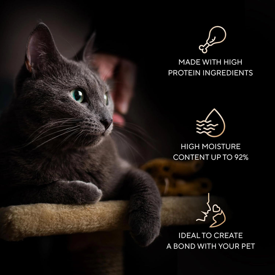 Sheba Melty Spoons Lickable Creamy Cat Treats, Creamy Chicken & Chicken Shreds - 40g