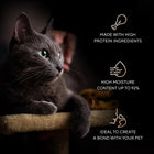 Sheba Melty Spoons Creamy Chicken & Chicken Shreds Lickable Cat Treats (40g)